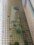 水槽堵塞
