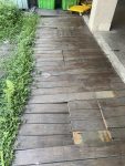求是樓前木地板損壞